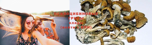 первитин Арсеньев