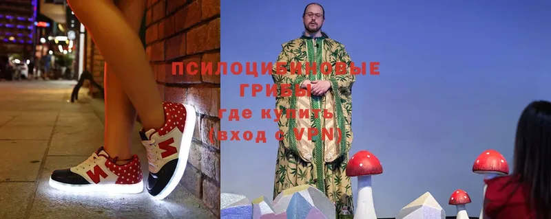 shop наркотические препараты  Валдай  Псилоцибиновые грибы MAGIC MUSHROOMS 