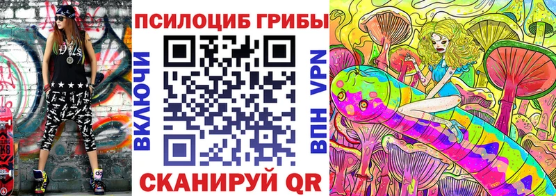 Псилоцибиновые грибы Psilocybe  купить наркотики цена  Валдай 